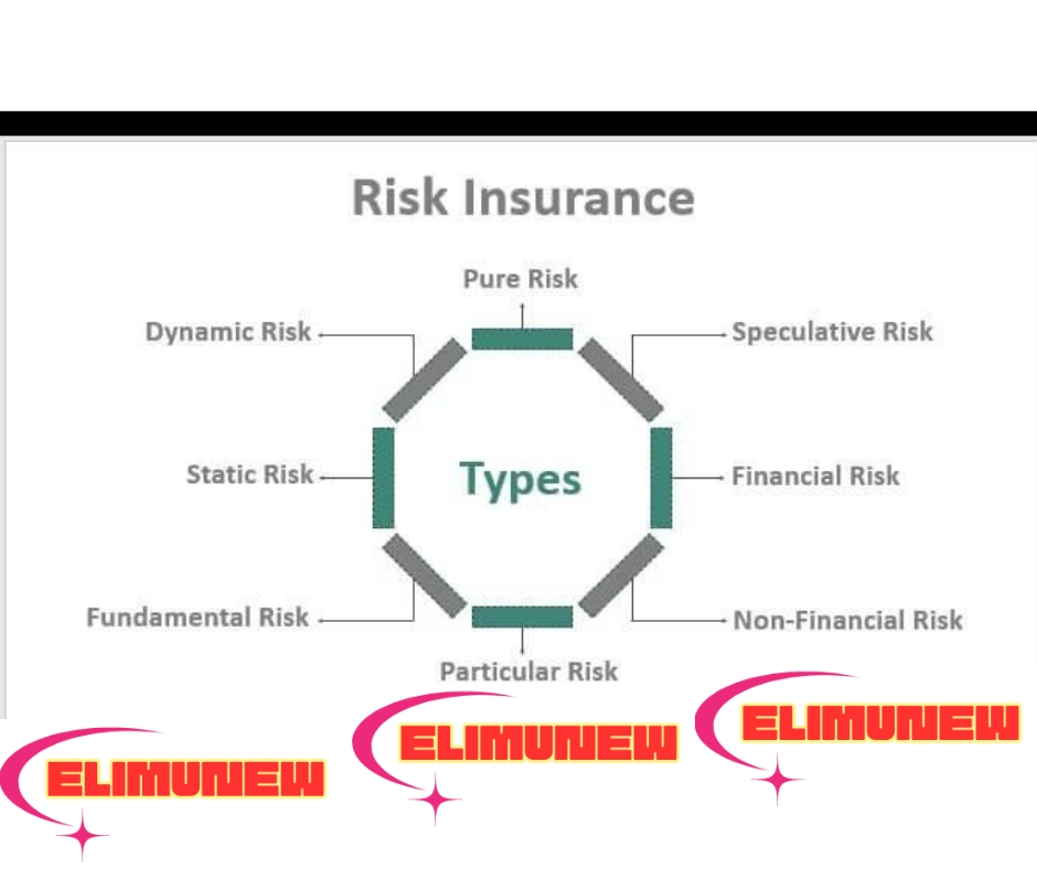 3 Types of Risk in Insurance: Understanding the Basics - Elimunew